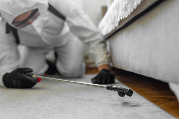 Professional Cockroach Control technician working in Redgranite, WI